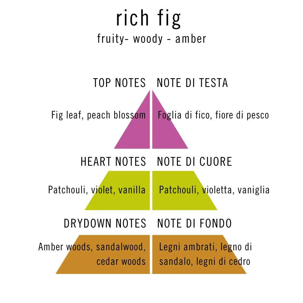 Unknown Pleasure - Rich fig - Image 4