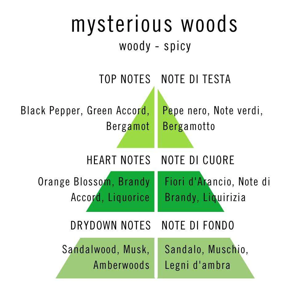 Unknown Pleasure - Mysterious Woods - Image 3